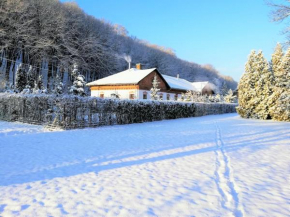 PARVA FORESTA